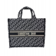Christian Dior Oblique Blue Canvas Book Tote – STYLISHTOP